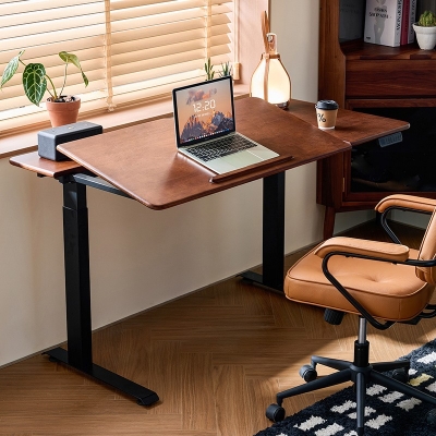 Ergonomic Home Office Furniture Desk